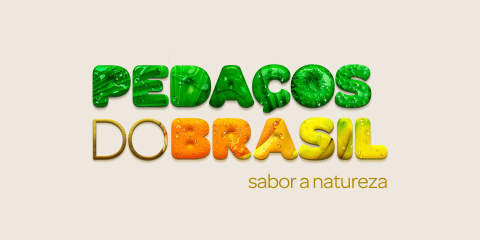 pedacos do brasil 01 2
