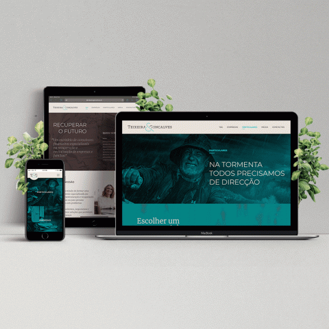 Web Showcase Project Presentation 2_02