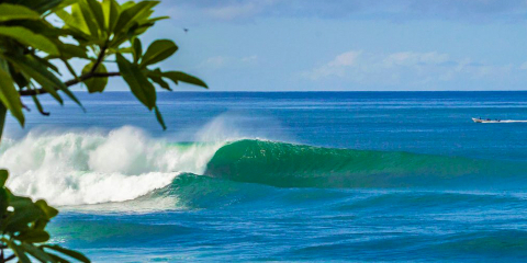 Surf 2